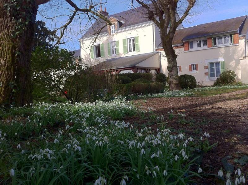 Logis Hotel Villa Marjane Saint-Jean-le-Blanc Exteriör bild